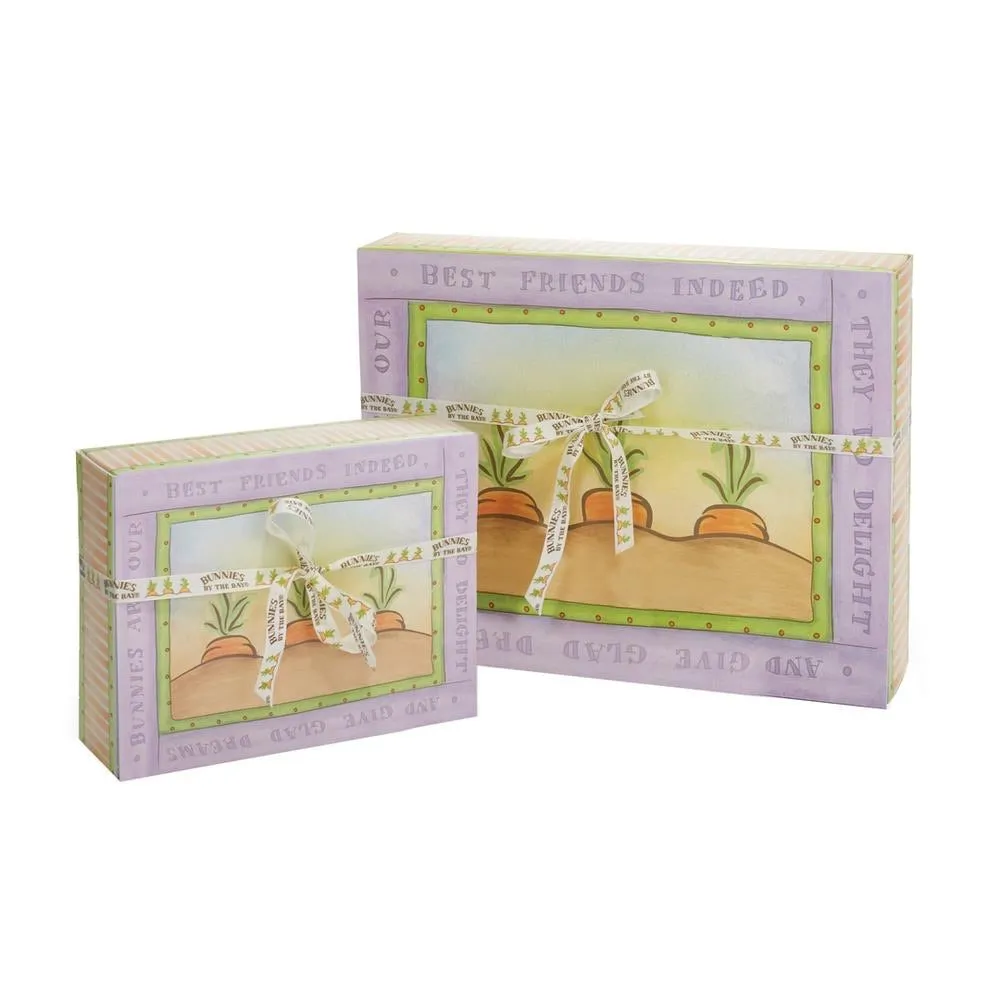 Baby Sunshine Bundle Box 0-3 & 3-6 Months
