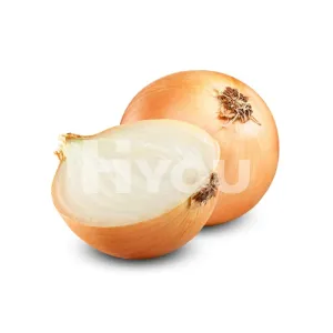 Fresh Onion 400g ~ 新鮮洋蔥 400g
