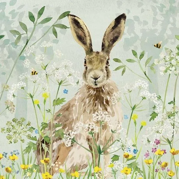 National Trust Hare Worktop Protector
