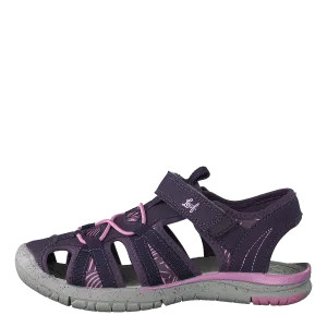 Salo Dk Purple
