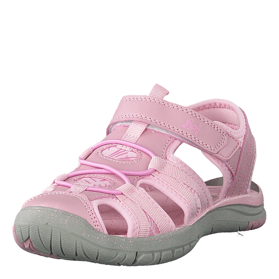 Salo Lt Pink