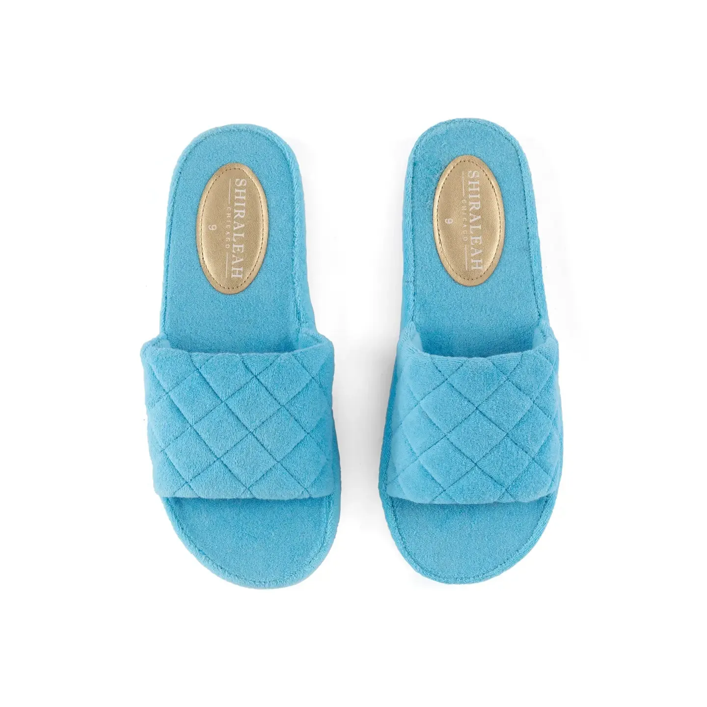 Shiraleah Sol Pool Slides