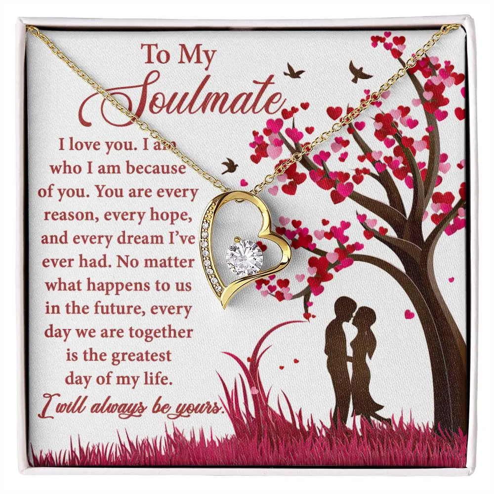 To My Soulmate You Are Every Reason | Forever Love Necklace