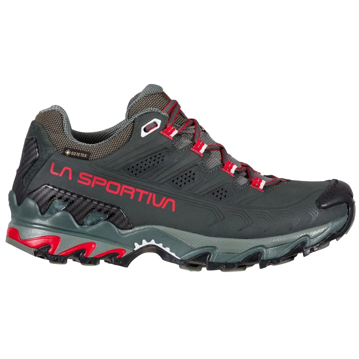 Ultra Raptor II Leather GTX W